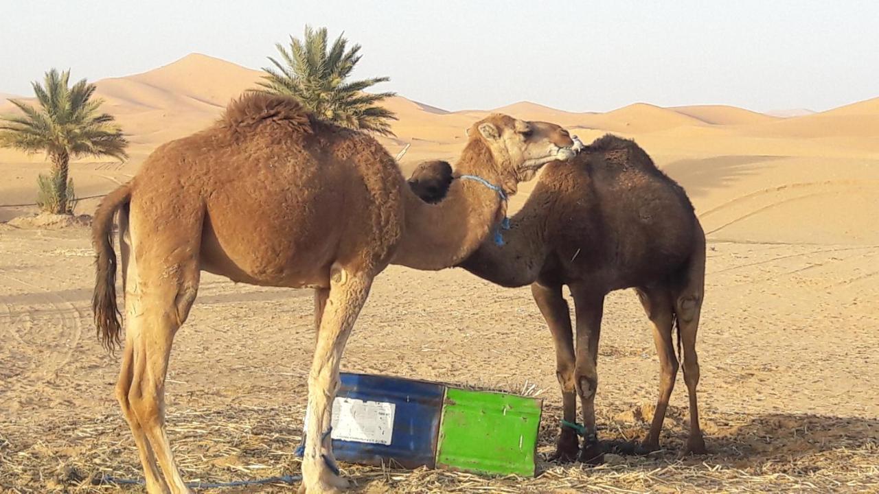 Fabulous Luxury Camp Hotell Merzouga Exteriör bild